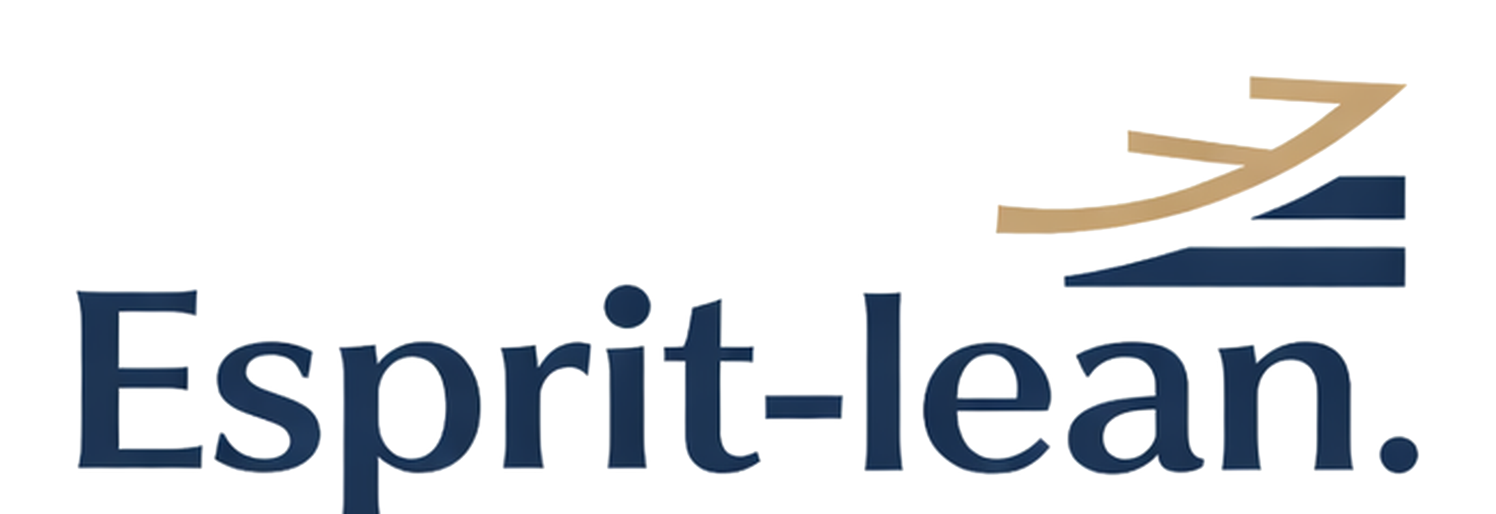 Esprit-lean - Denis Errera - Consultant Lean Toulouse